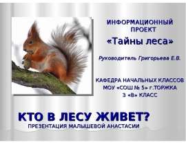 Кто в лесу живет