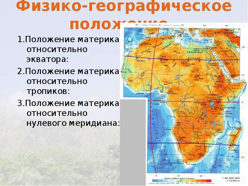 Как расположен материк относительно экватора. Презентация по теме Африки географическое положение. Географическое положение материка. Географическое положение Африки 7 класс. Физико географическое положение Африки 7 класс.