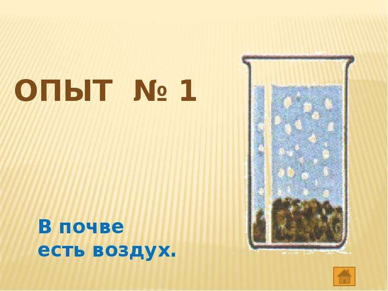 Что доказывает данный опыт воздух. В почве есть воздух. Опыты с почвой. Состав почвы. Опыты с почвой для детей.