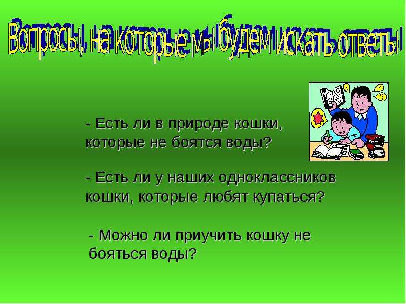 Боятся ли. Почему кошки боятся воды проект. Почему кошки боятся воды исследовательская работа. Проект на тему почему кошки боятся воды. Реферат почему кошки бояться воды.