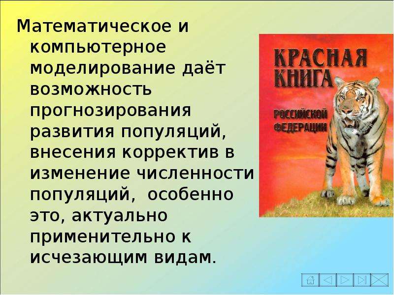 Презентация динамика популяции биология 11 класс