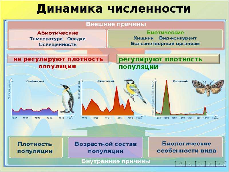 Охрана видов и популяций презентация 11 класс