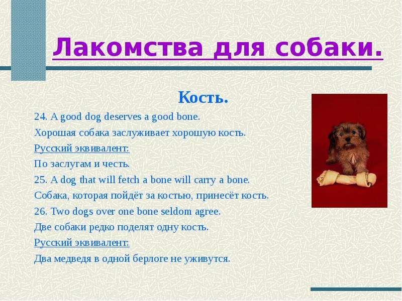 Dogs текст. Английские пословицы и поговорки со словом Dog. Поговорки про собак на английском. Хорошая собака заслуживает хорошую кость русский эквивалент. Английские идиомы со словом Dog.