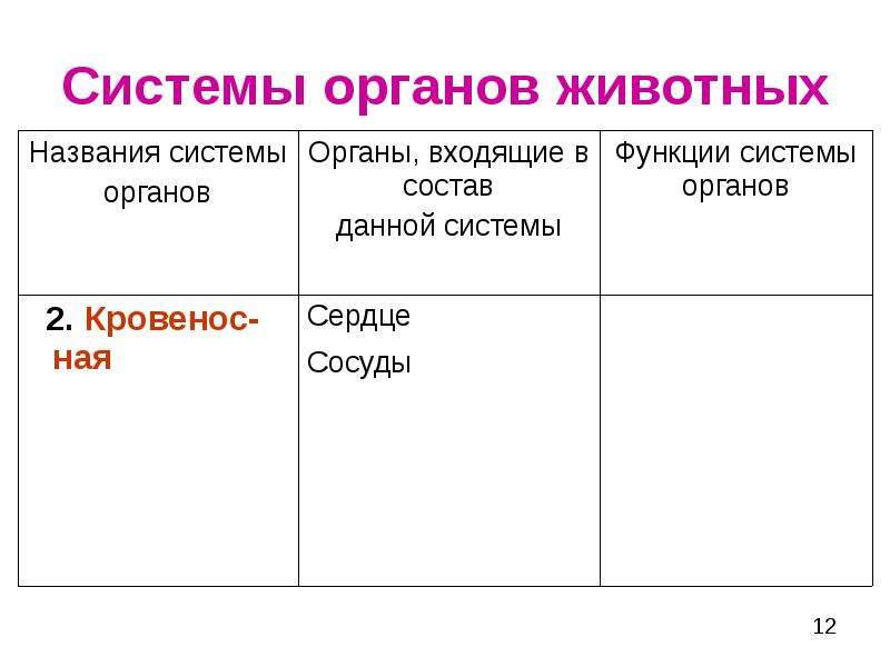 План исследования животного по системам органов