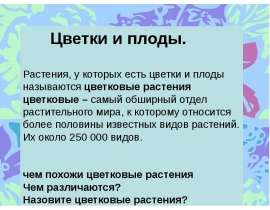 Цветки и плоды