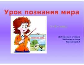 Урок Познания мира "Казахстан - страна высокоразвитой культуры"
