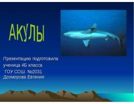 Акулы (4 класс)