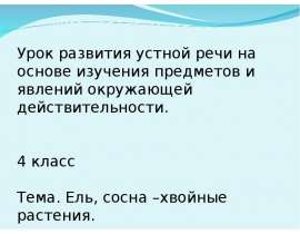 Ель, сосна – хвойные деревья