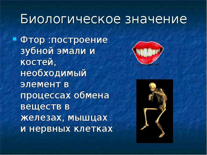 Применять смысл. Биологическое значение и применение фтора. Биологическая роль фтора. Биологическое значение. Биологическое значение фтора.