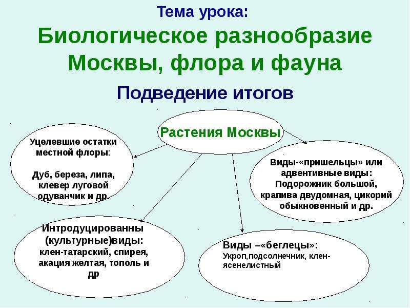 Тема урока: Биологическое разнообразие Москвы, флора и фауна Подведение итогов
