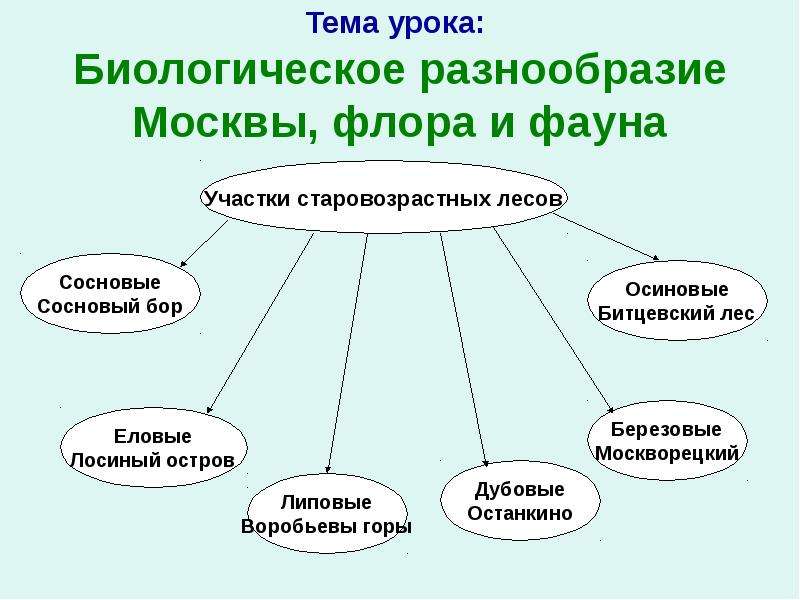 Тема урока: Биологическое разнообразие Москвы, флора и фауна