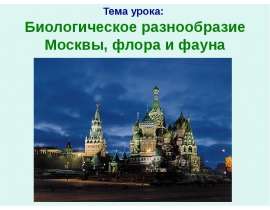 Скачать презентацию Биологическое разнообразие Москвы, флора и фауна