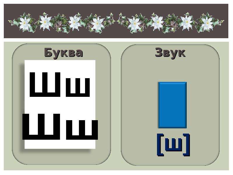 Презентация ш буква ш