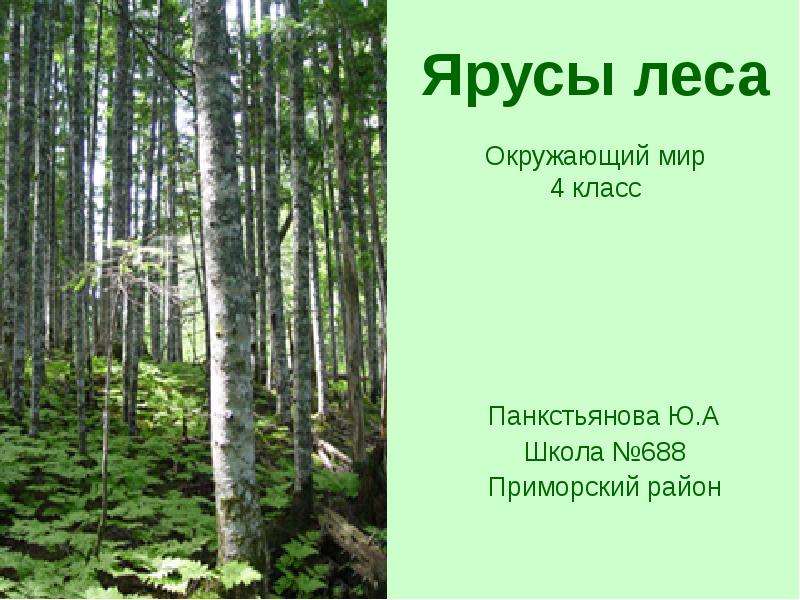 Презентация к уроку окружающего мира в технологии развития критического мышления