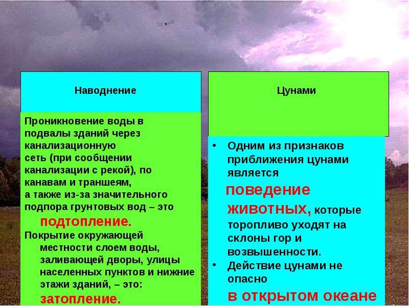 Разрушительная сила урагана заключается в совместном действии. Признаками приближающегося ЦУНАМИ являются. Признаки приближения ЦУНАМИ. Признаки приблежение ЦУНАМИ. Проникновение воды в подвалы зданий через канализационную сеть при.