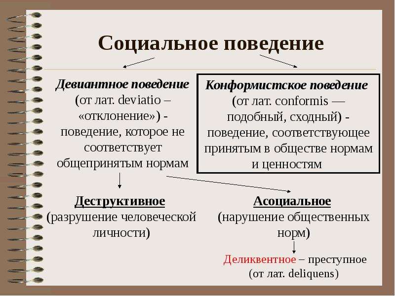 Проект социальные нормы