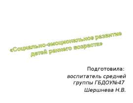 Социально-эмоциональное развитие детей раннего возраста