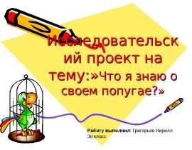 Что я знаю о своем попугае?
