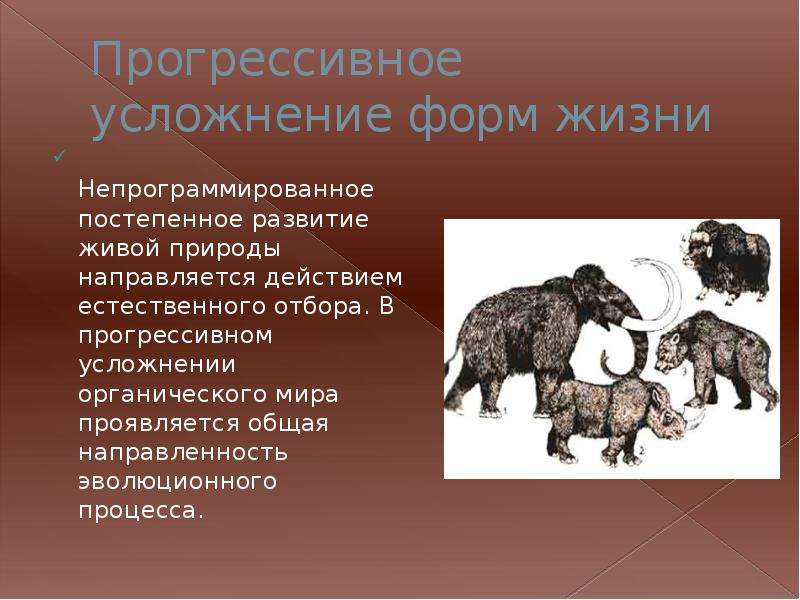 Закономерность развитие природы. Эволюция процесс непрограммированного развития. Пример непрограммированного развития живой природы. Не рограмированое развитие живой природы. Эволюция это естественный процесс развития живой природы.