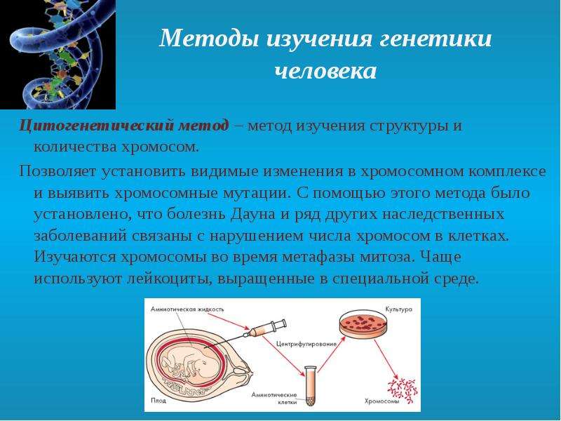 История генетики проект