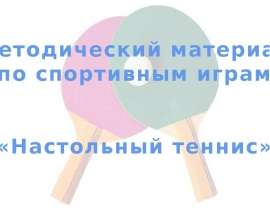 Скачать презентацию Настольный теннис