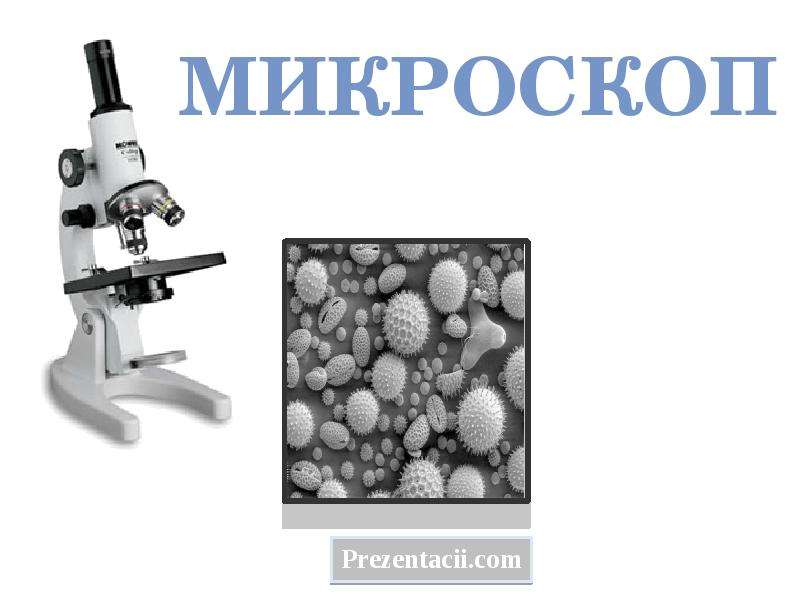 Микроскоп презентация по физике 8 класс