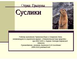 Отряд Грызуны. Суслики