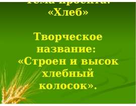 Строен и высок хлебный колосок