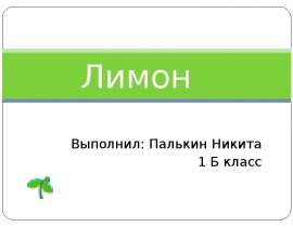 Лимон