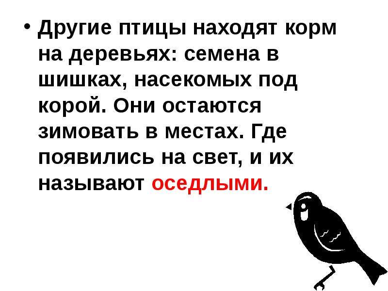 Ищут корм. Какие птицы ищут корм под корой деревьев. Находит корм на деревьях. Пернатые изобретатели. Кто находит корм на деревьях.