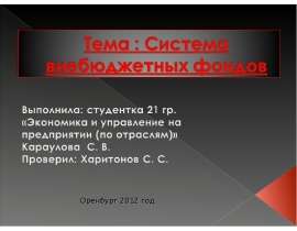 Система внебюджетных фондов