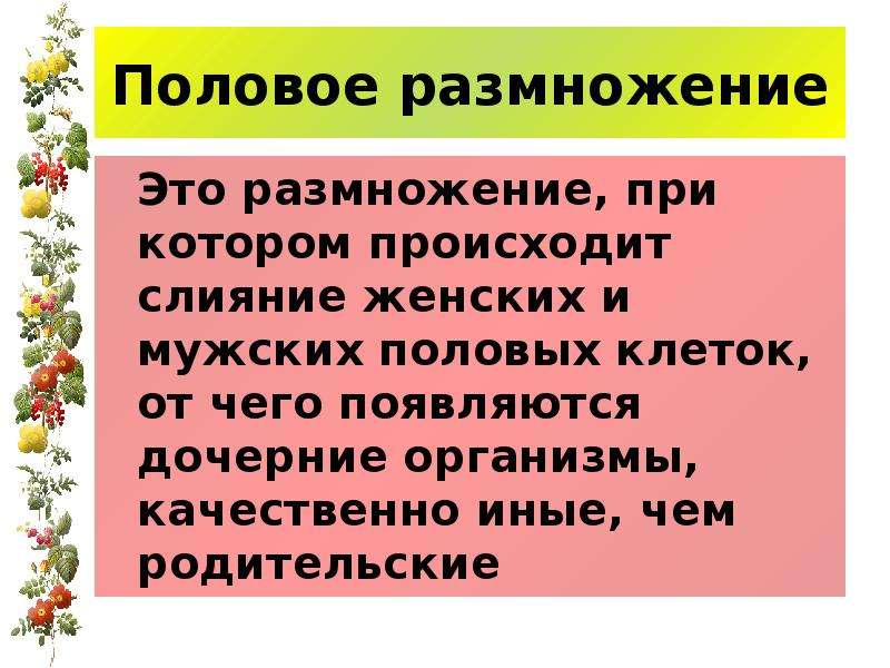 Презентация на тему половое размножение