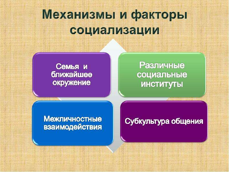 Картинки факторы социализации