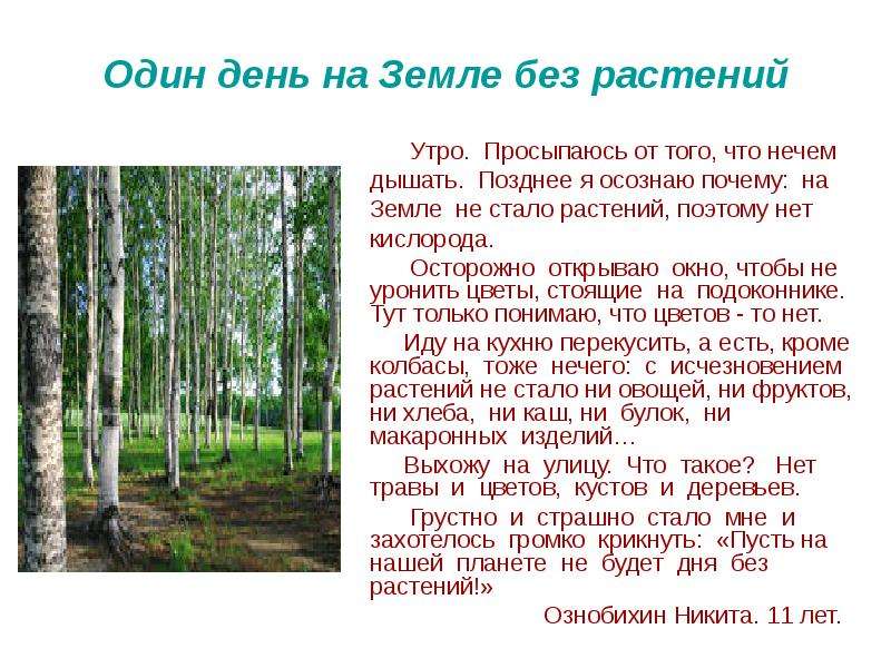 Почему жизнь без. Земля если не было растений. Что было бы если не было растений на земле. Почему жизнь без растений невозможна. Рассказ если бы на земле не было растений.