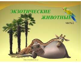 Экзотические животные часть 1