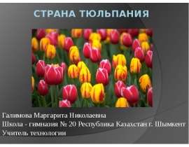 Страна тюльпания