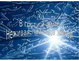 В гости к зиме. Неживая природа зимой