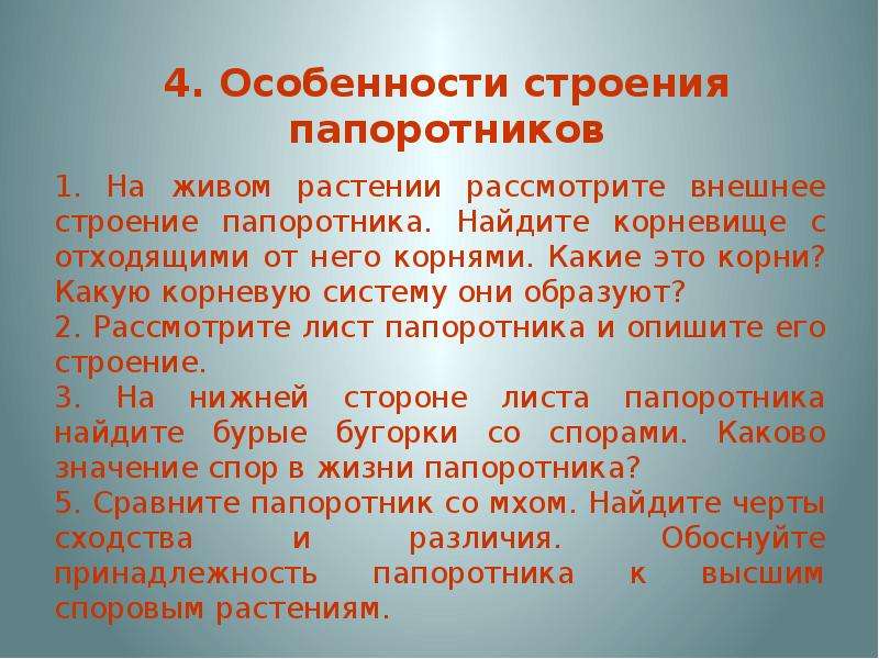 Значение папоротников в жизни. Каково значение спор в жизни папоротника лабораторная работа. Значение спор в жизни папоротника. Споры в жизни папоротника. Каково значение спор у папоротника.