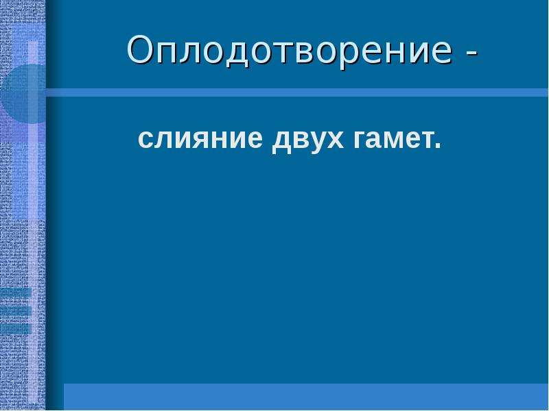 Оплодотворение 10 класс презентация