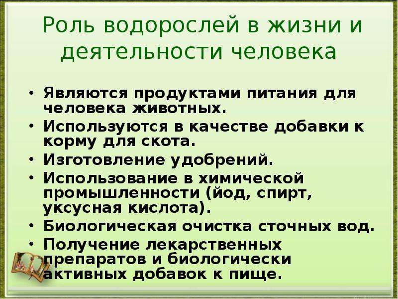 Создайте обобщенную схему значение и использование водорослей 5 класс биология