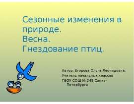 Сезонные изменения в природе. Весна. Гнездование птиц
