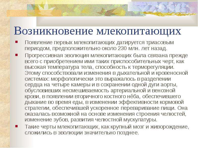 Картинки происхождение млекопитающих