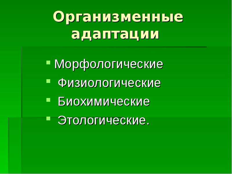 Морфологические адаптации презентация