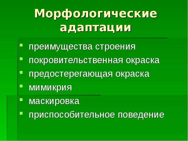 Морфологические адаптации презентация