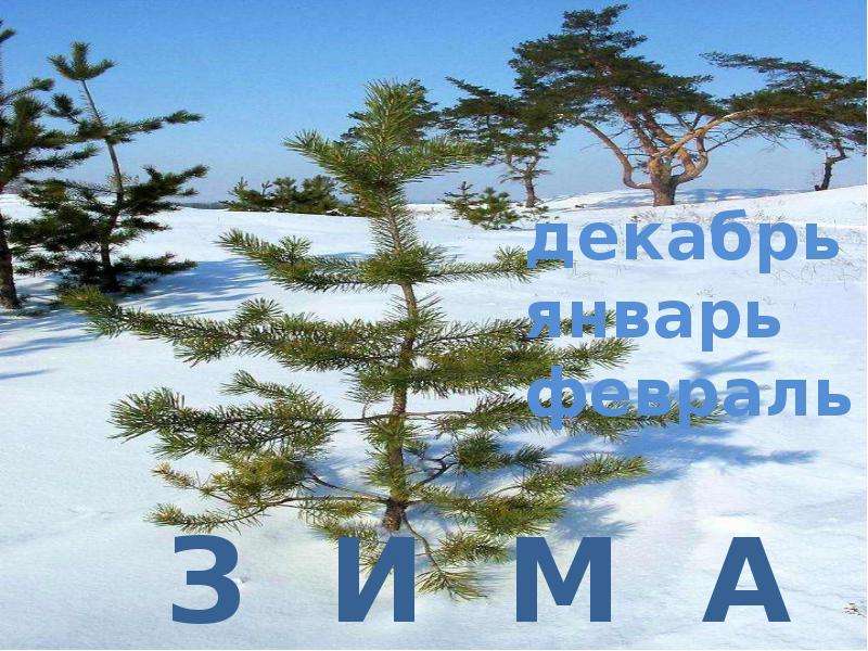 Когда наступит лето 1. Когда наступит лето 1 класс школа России презентация. Когда наступит лето 1 класс окружающий мир. Проект когда наступит лето 1 класс. Когда придёт лето 1 класс.