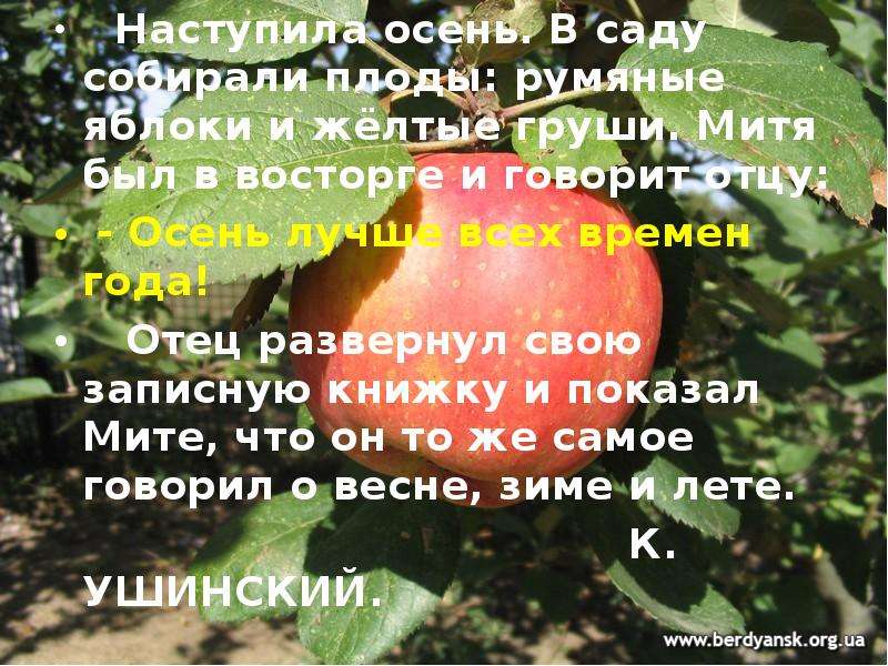 Когда настанет лето. Яблочко румяное есть. Румяная девочка румяный пирог румяное яблоко румяная Заря. Румяное яблоко составить предложение простое. Эпитет румяные яблоки золотое сердце.