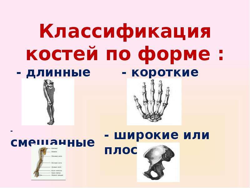 8 кл презентация