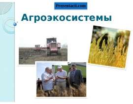 Агроэкосистемы