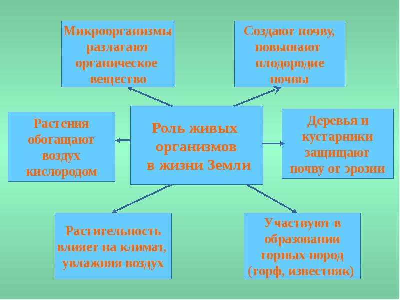 Презентация 6 класс реферат