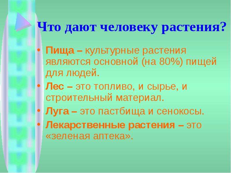 Что дают растения. Что даютратения человеку. Что дают растения человеку. Что дают растения человеку презентация. Что дают растения человеку 3 класс.